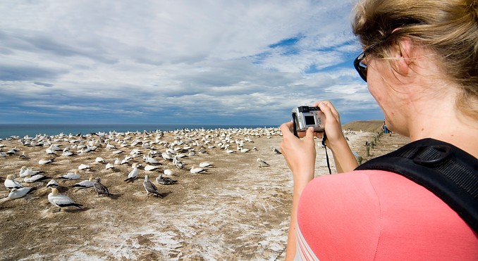 Image courtesy of Venture Hawke's Bay