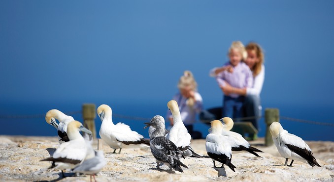 Image courtesy of Tourism New Zealand