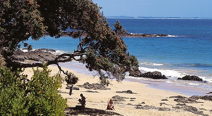 Image courtesy of Destination Northland