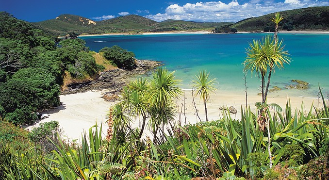 Image courtesy of Destination Northland