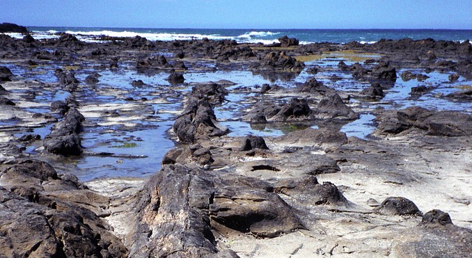 Image courtesy of Venture Southland