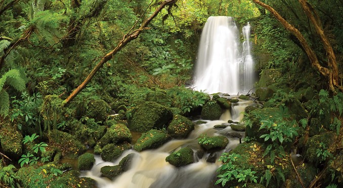 Image courtesy of Tourism New Zealand