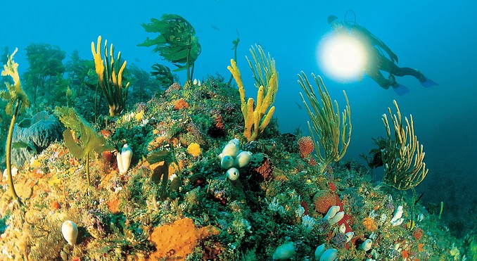 Image courtesy of Tourism New Zealand