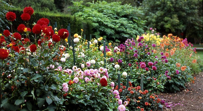 Image courtesy of Tourism New Zealand