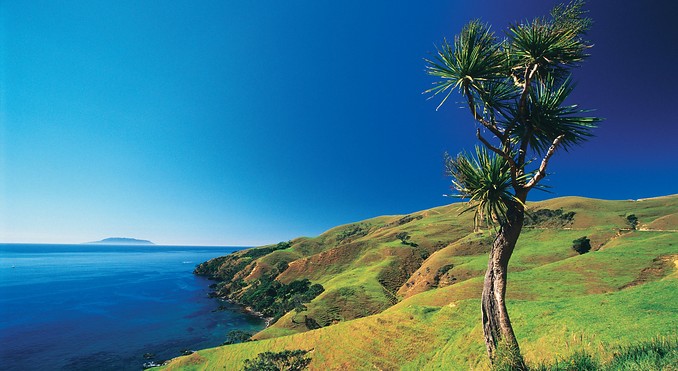 Image courtesy of Tourism New Zealand
