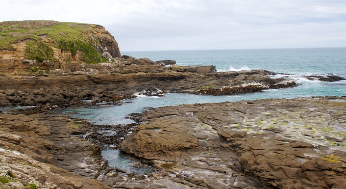 Curio Bay and Slope Point