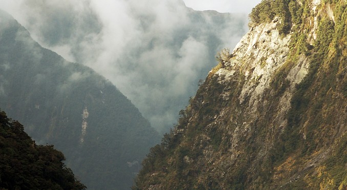 Image courtesy of Destination Fiordland