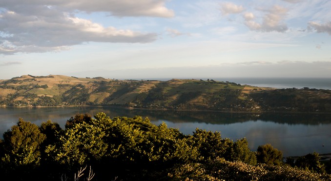 Image courtesy of Tourism Dunedin