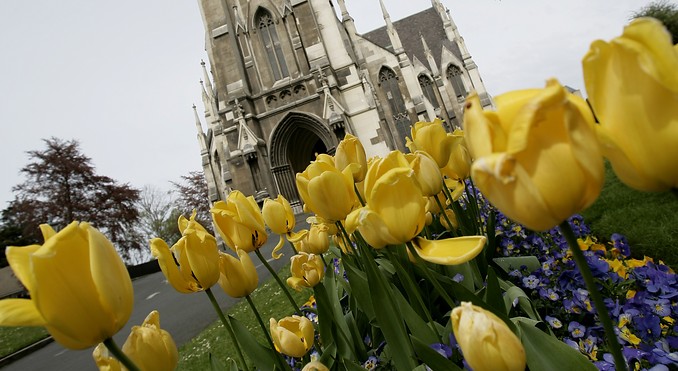 Image courtesy of Tourism Dunedin