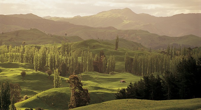 Image courtesy of Tourism New Zealand