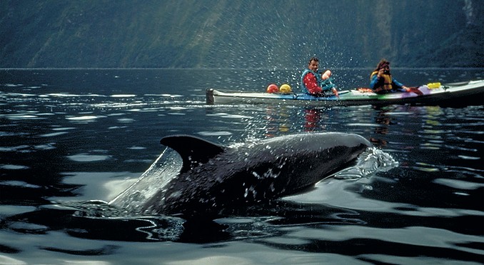 Image courtesy of Destination Fiordland