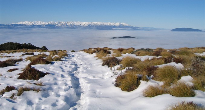 Image courtesy of Destination Fiordland