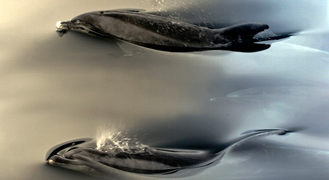 Image courtesy of Destination Fiordland