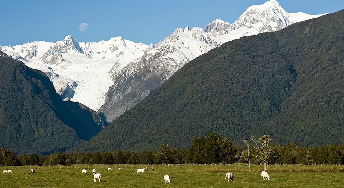 Fox Glacier