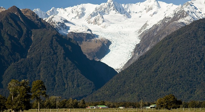 Fox Glacier
