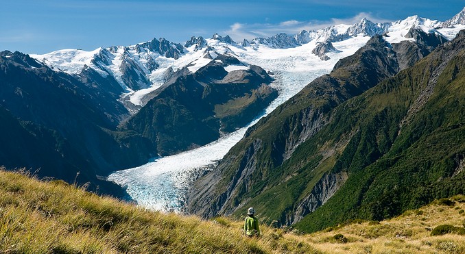 Fox Glacier