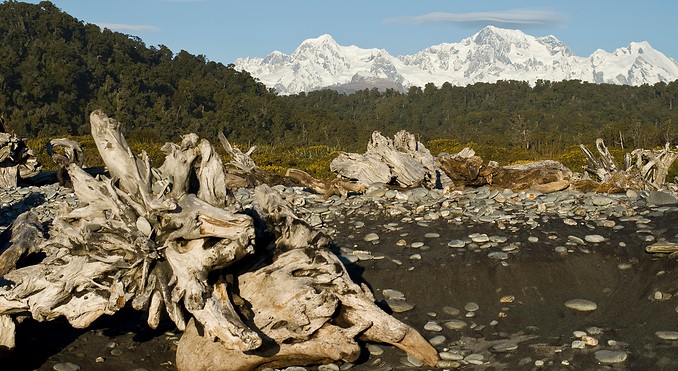 Fox Glacier