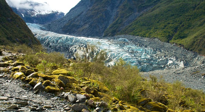 Fox Glacier