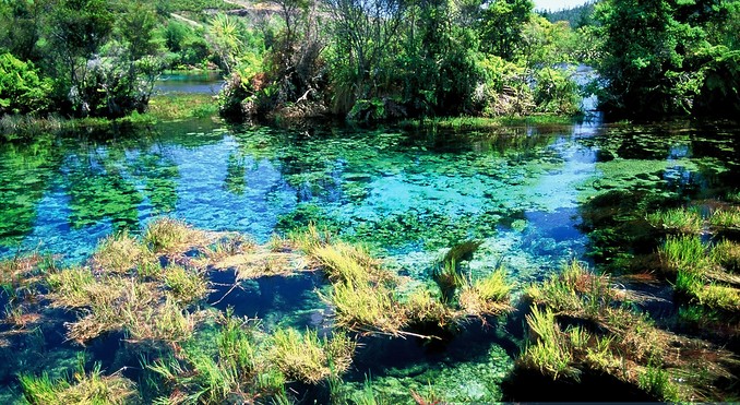Image courtesy of Nelson Tasman Tourism