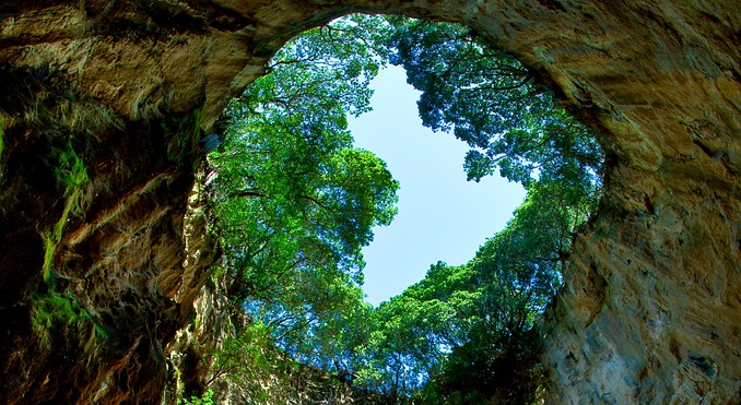 Image courtesy of Tourism Coromandel