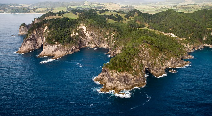 Image courtesy of Tourism Coromandel