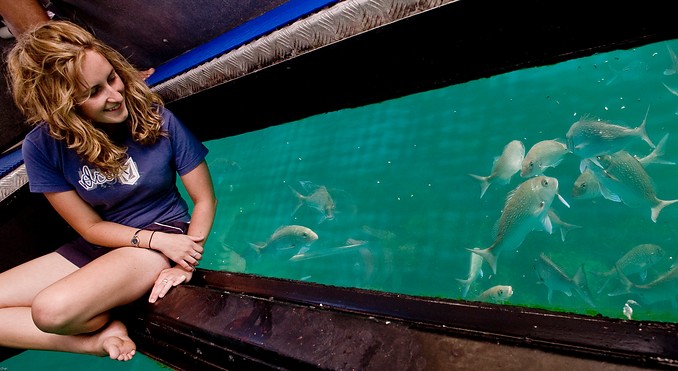 Image courtesy of Tourism Coromandel