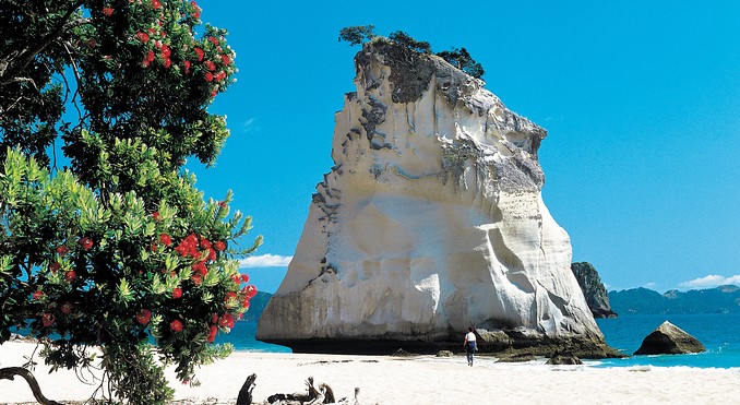Image courtesy of Tourism New Zealand