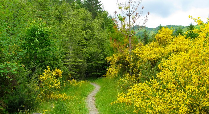 Image courtesy of Tourism Media
