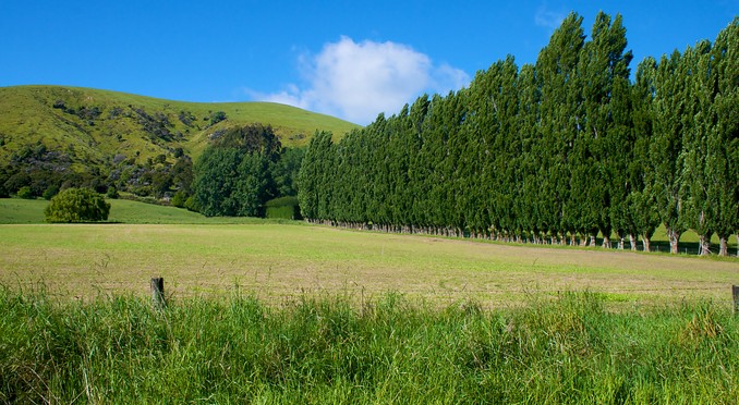Image courtesy of Tourism Media