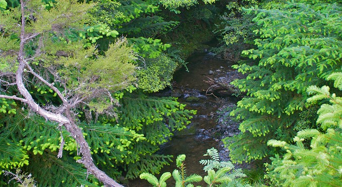 Image courtesy of Tourism Media