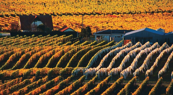 Image courtesy of Tourism New Zealand