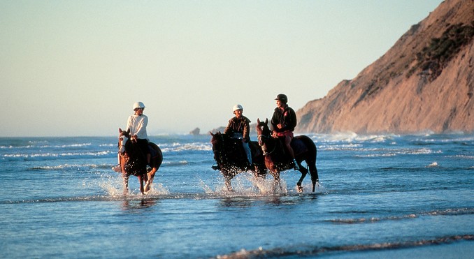 Image courtesy of Venture Hawke's Bay