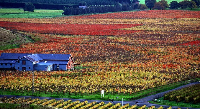 Image courtesy of Venture Hawke's Bay