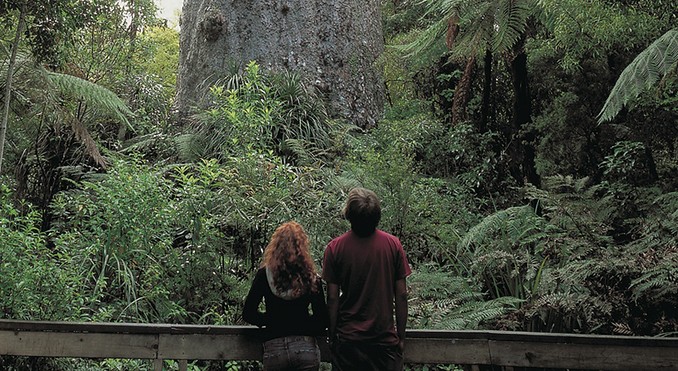 Image courtesy of Destination Northland