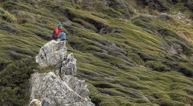 Image courtesy of Tourism New Zealand