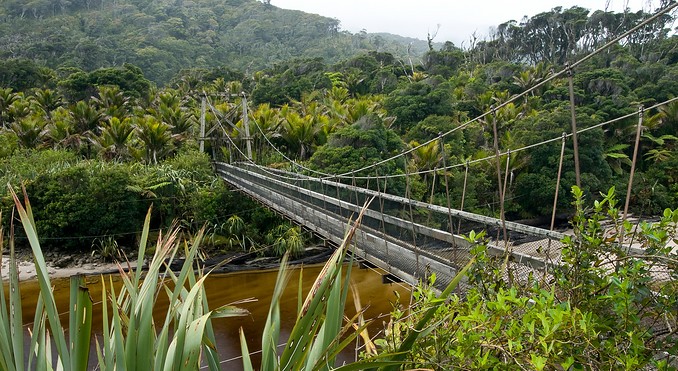 Image courtesy of Tourism West Coast