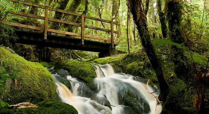 Image courtesy of Tourism West Coast