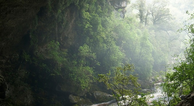 Image courtesy of Tourism West Coast