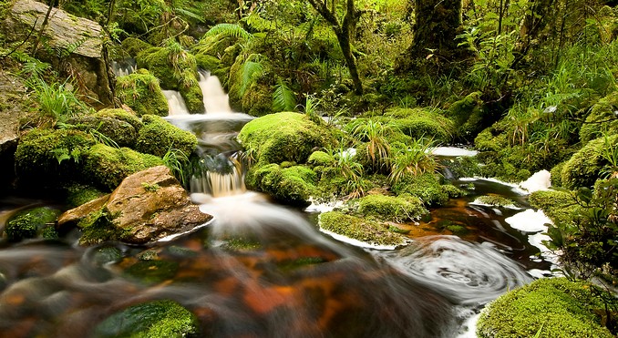 Image courtesy of Tourism West Coast