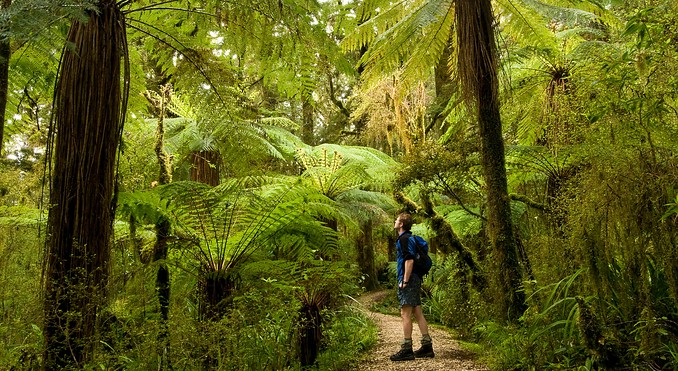 Image courtesy of Tourism West Coast