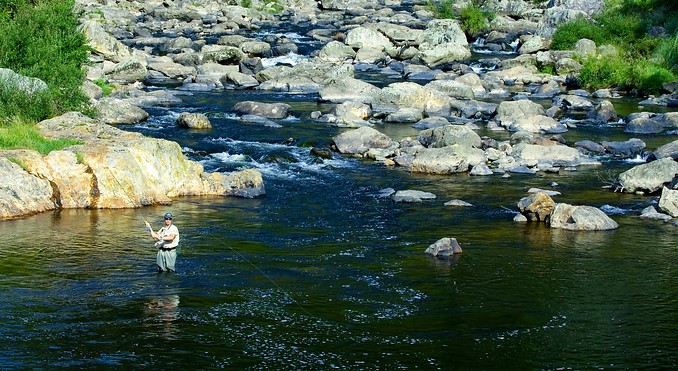 Image courtesy of Tourism Coromandel
