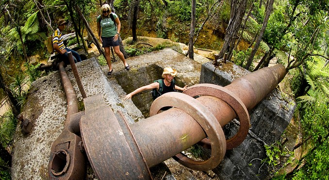 Image courtesy of Tourism Coromandel