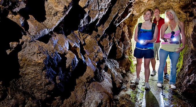 Image courtesy of Tourism Coromandel