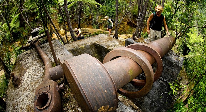 Image courtesy of Tourism Coromandel