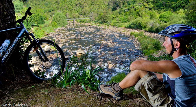 Image courtesy of Tourism Coromandel