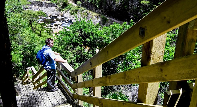 Image courtesy of Tourism Coromandel