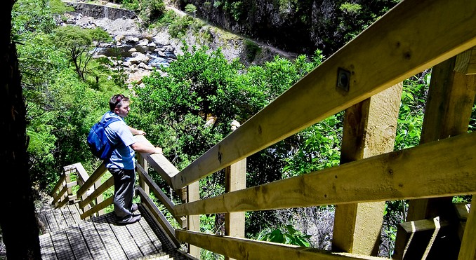 Image courtesy of Tourism Coromandel