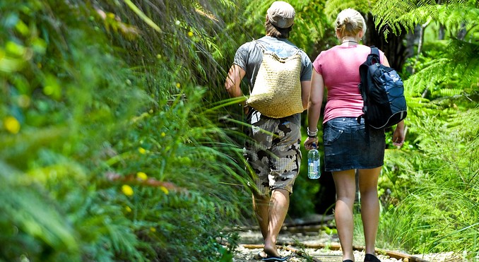 Image courtesy of Tourism Coromandel