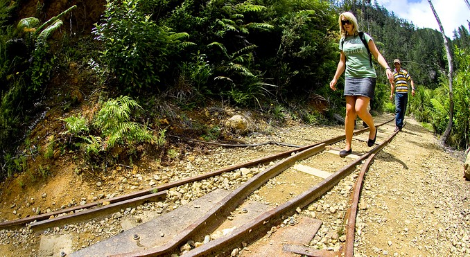 Image courtesy of Tourism Coromandel