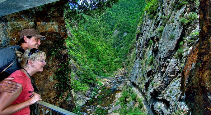 Image courtesy of Tourism Coromandel
